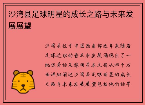沙湾县足球明星的成长之路与未来发展展望